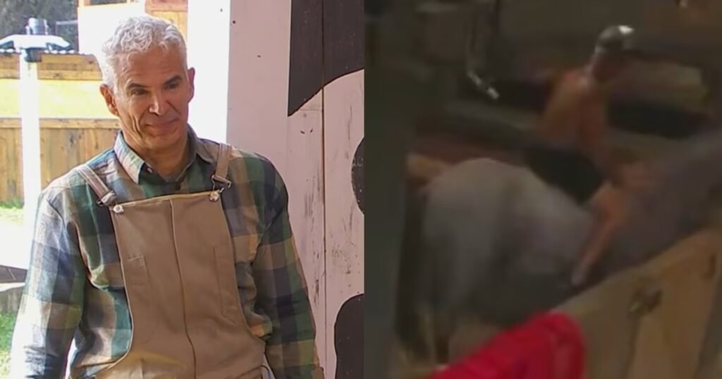 julio camejo genera controversia en la granja vip por presunto maltrato a un caballo
