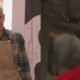 julio camejo genera controversia en la granja vip por presunto maltrato a un caballo