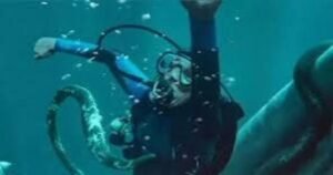 La caída de la ballena: Trama, reparto y dónde ver la película