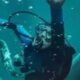 La caída de la ballena: Trama, reparto y dónde ver la película