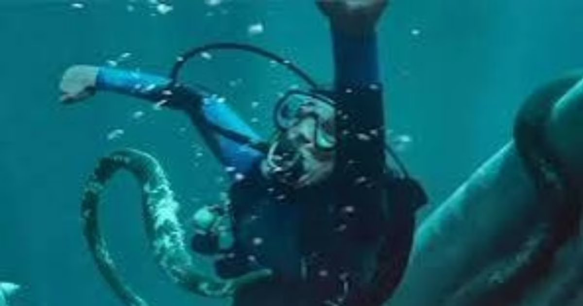 La caída de la ballena: Trama, reparto y dónde ver la película